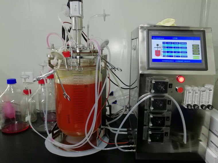 ˫�㲣�����͹�