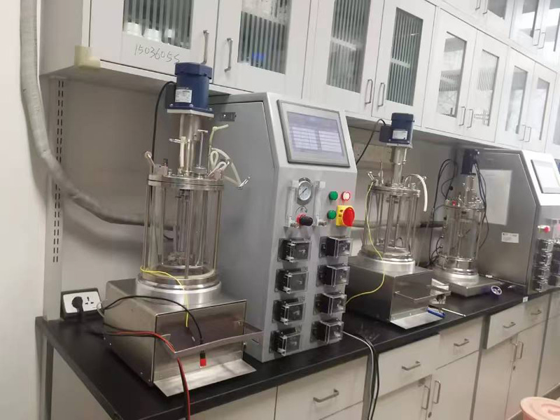 ���㲣�����͹�����