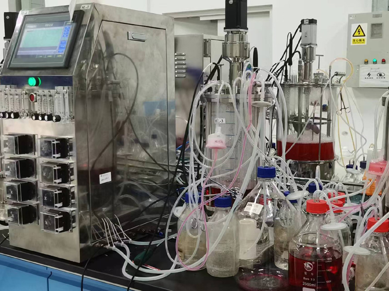 �������͹�