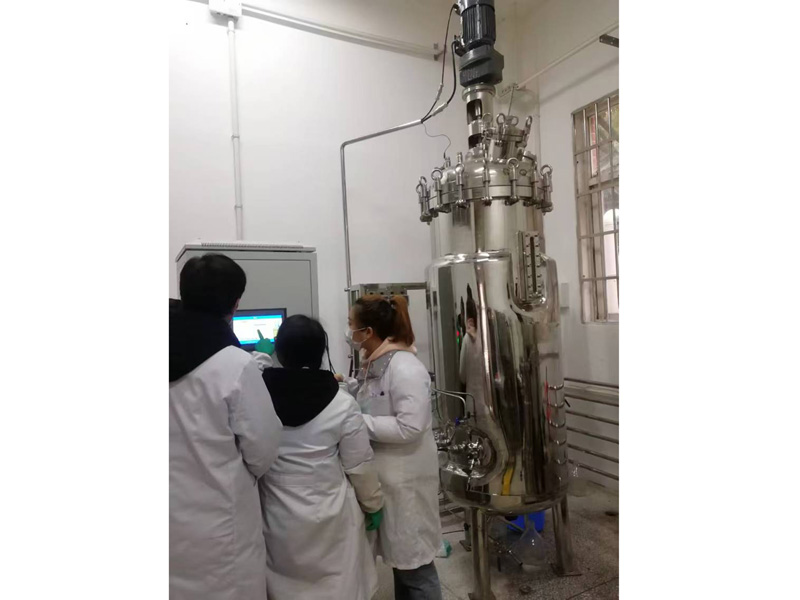 �������ò���ַ��͹�