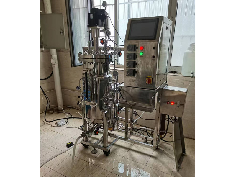 �������ò���ַ��͹�