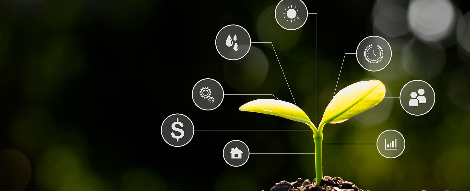 ���﷢���豸�������-΢�������